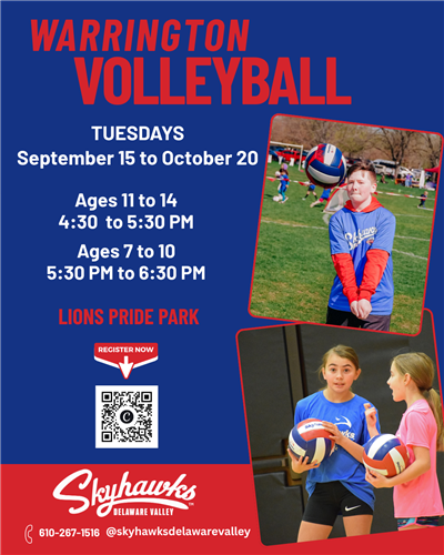 Volleyball